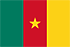 Drapeau Cameroun