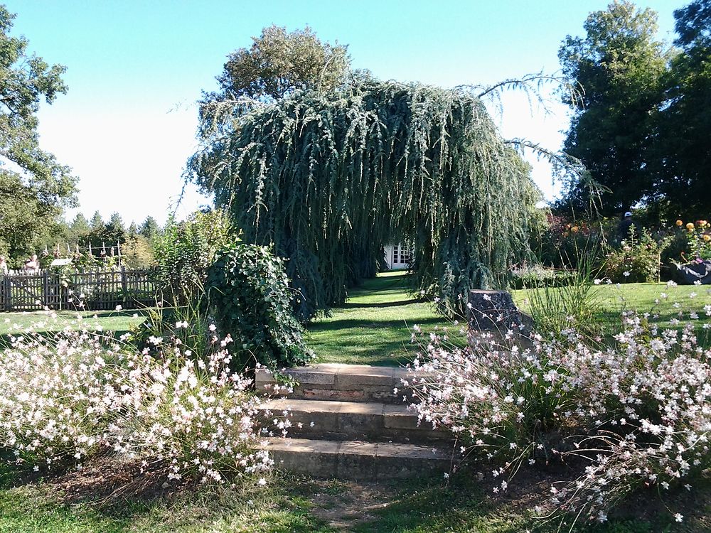 Côté jardin potager