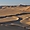 Funambule sur les dunes 