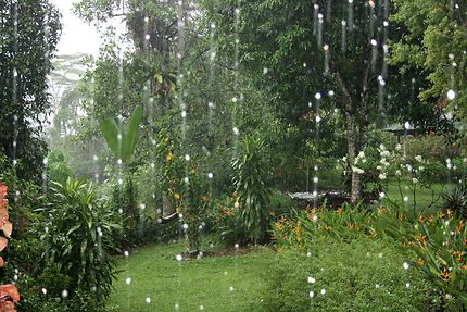 Rideau de pluie à Bukit Lawang