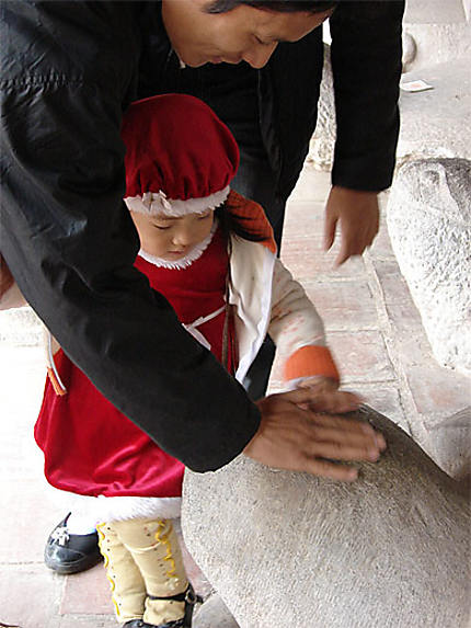 Enfant carressant la tête d'une tortue