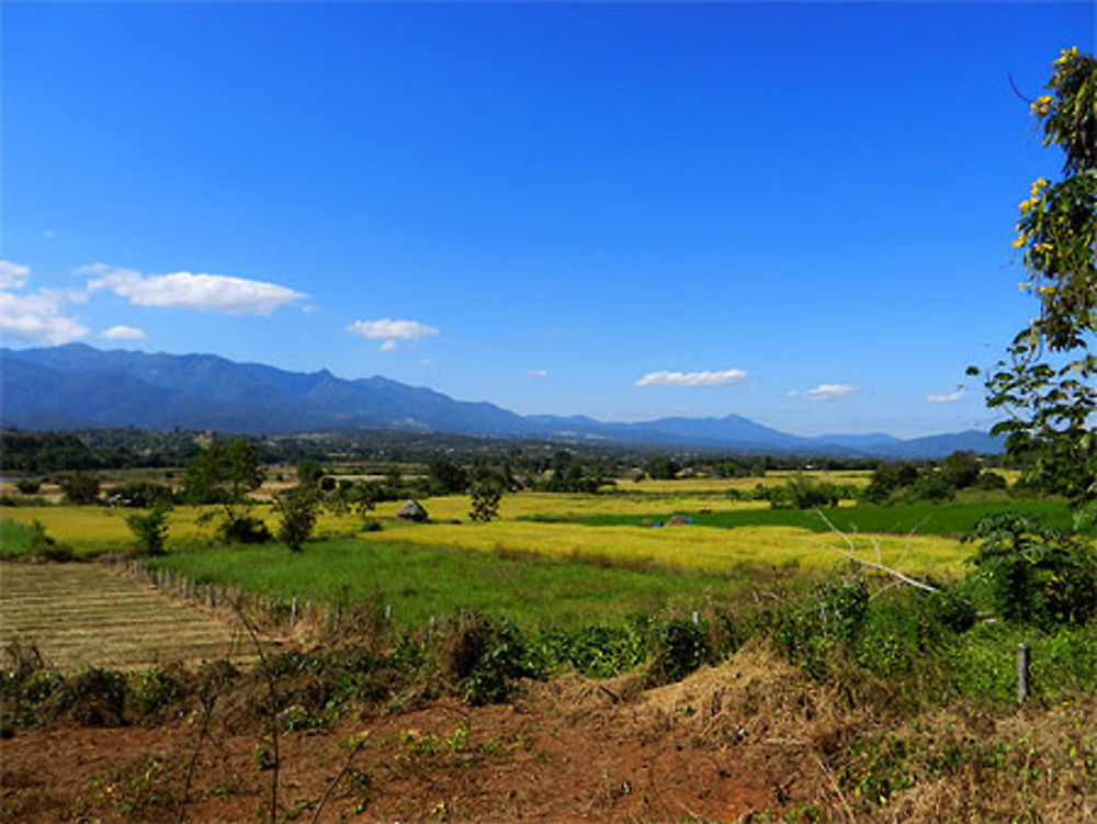 Dans la campagne de Pai