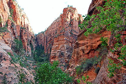 Paysage de la randonnée Angel's Landing