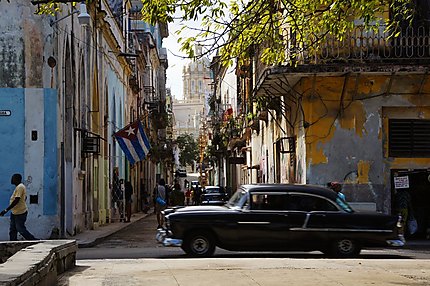 Havane