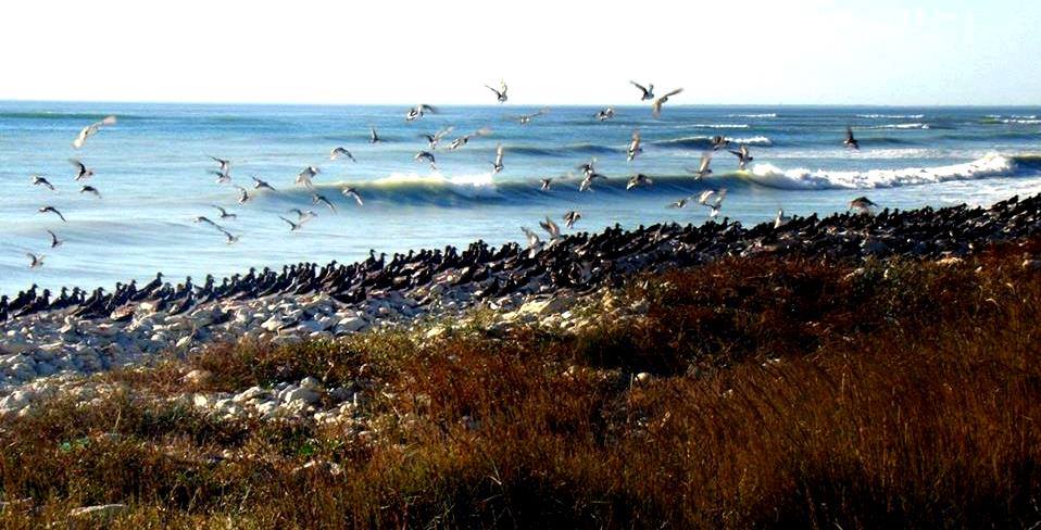 La Côte sauvage La Côte sauvage