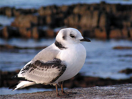 John O'Groats John O'Groats