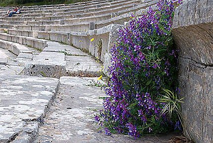 Théâtre d'Epidaure au printemps