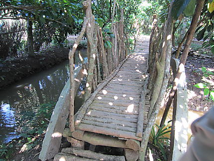 Petit pont en bois dans les vergers du delta