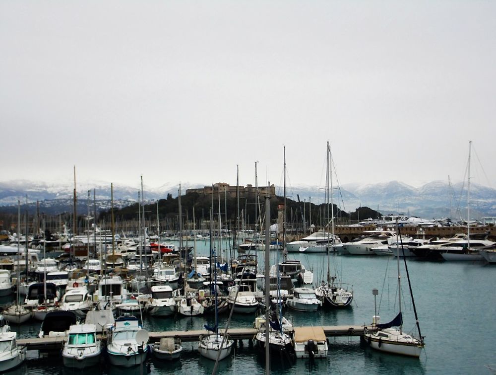 Le port d'Antibes