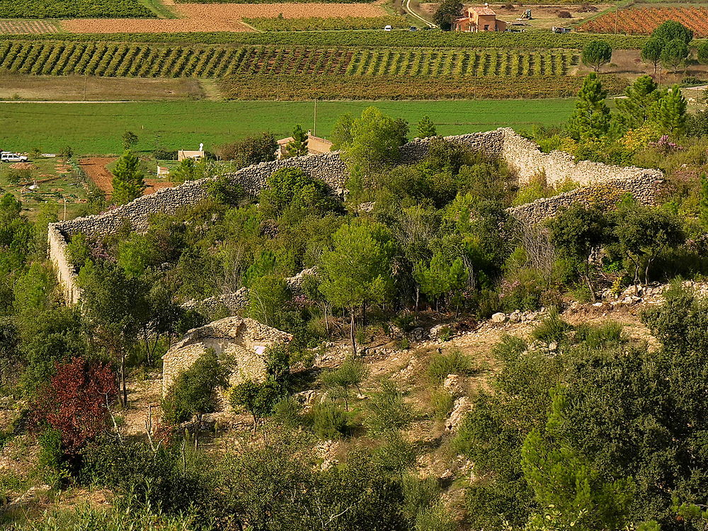 Enclos à usage de rucher (apié)