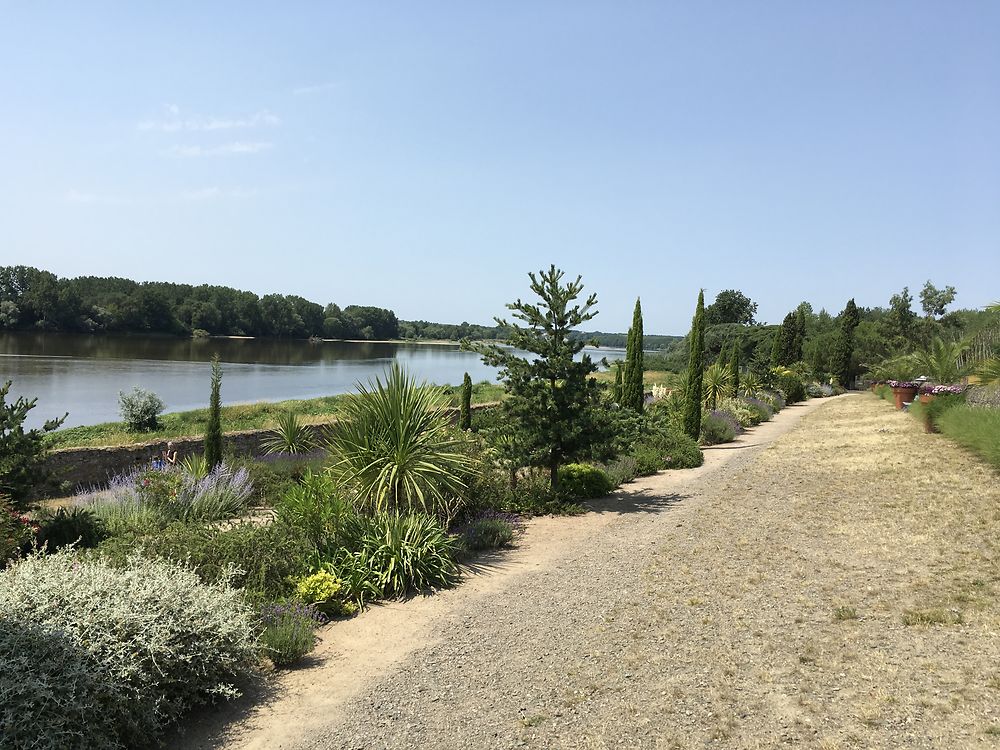 Lumière en bord de Loire 