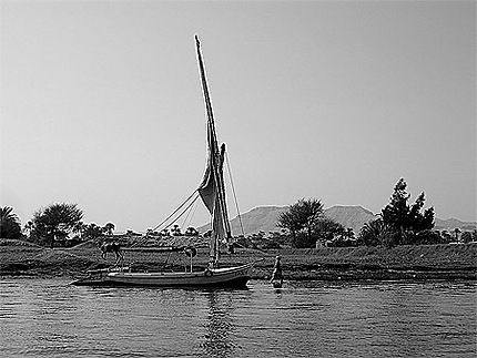Felouque sur le Nil