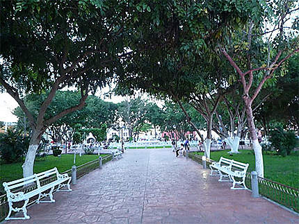 Parque Francisco Cantón Rosado