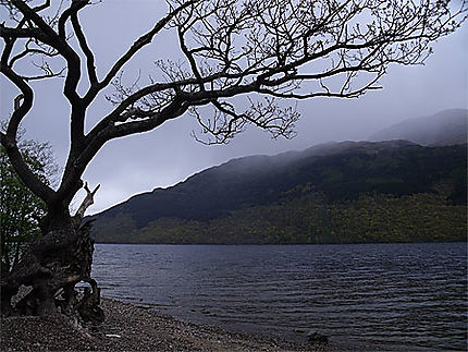 Loch Lomond under the rain