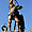 Statue, Pont St-Michel, Gand, Belgique