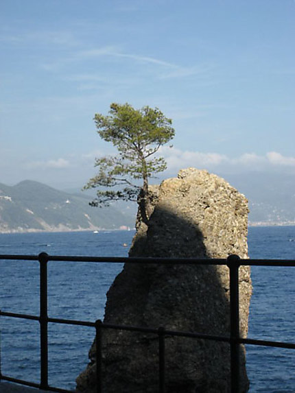 Seul sur la route de Portofino