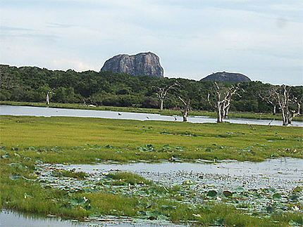 Parc naturel de Yala