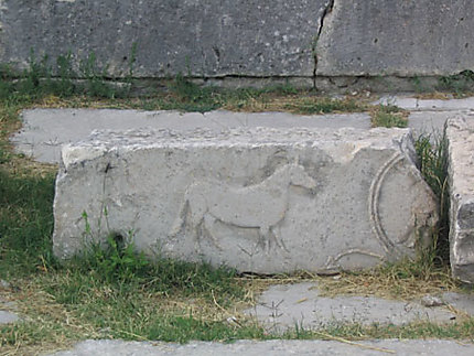 Cheval romain