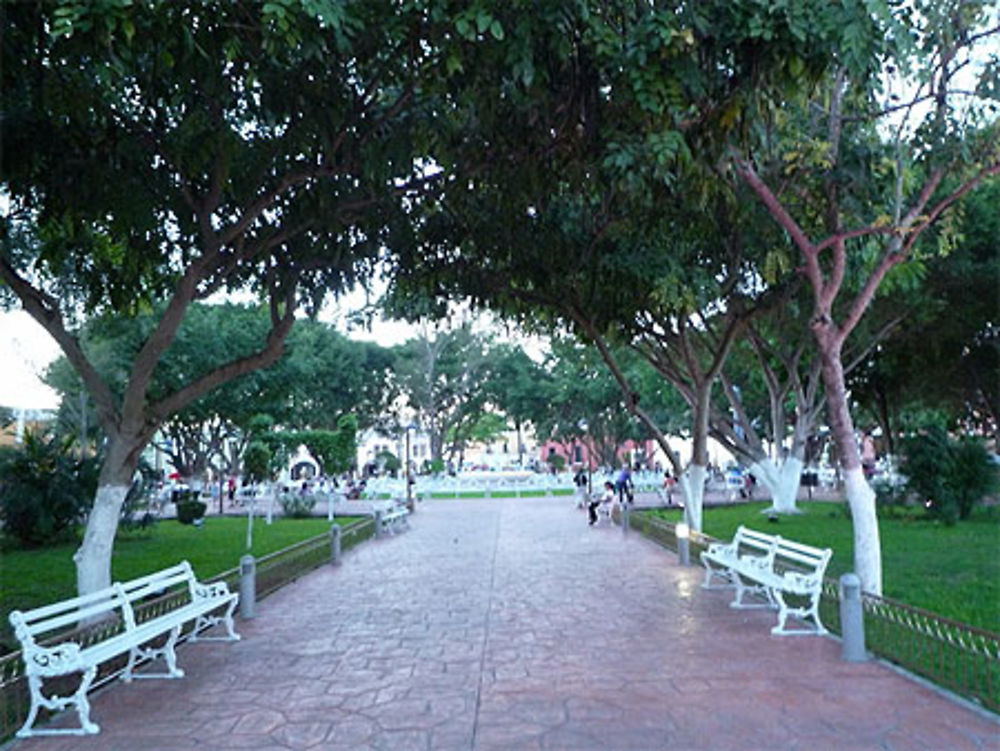 Parque Francisco Cantón Rosado