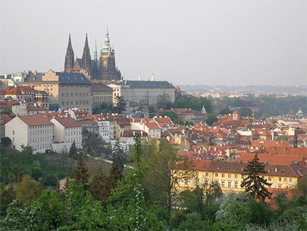 Château et Cathédrale Saint-Guy