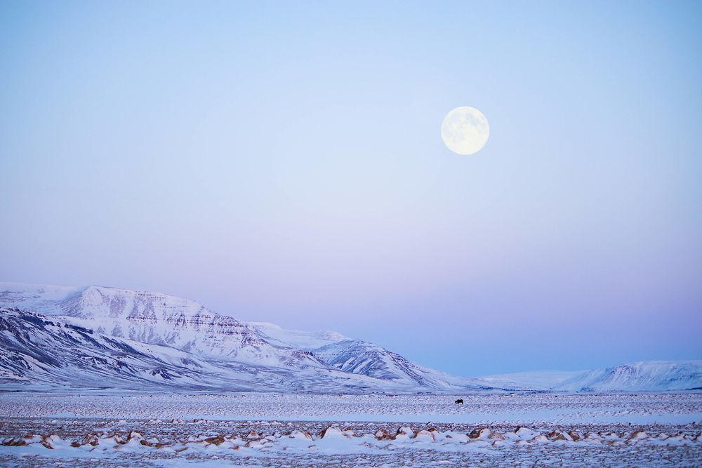 Sous la lune, péninsule de Snæfellsnes