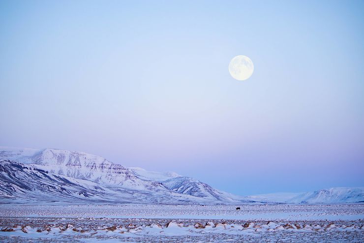 Sous la lune, péninsule de Snæfellsnes, Islande