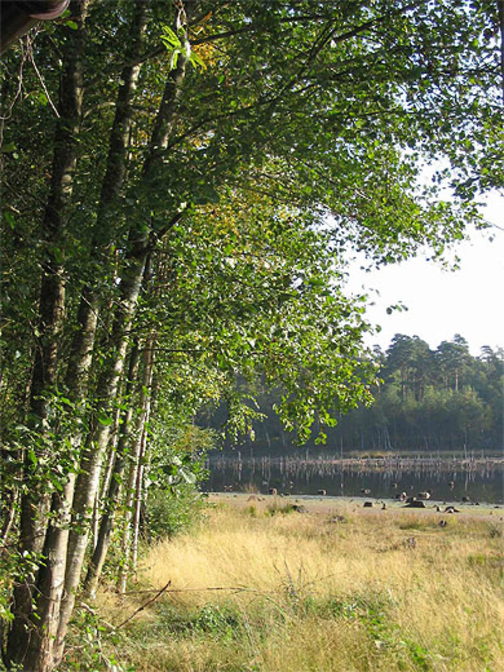 Etang du Ravoir