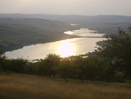 Paysage d'été Paysage d'été