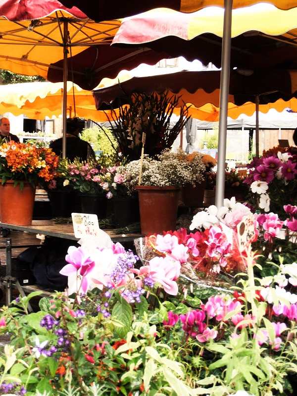 Fleurs au marché des Lices Fleurs au marché des Lices
