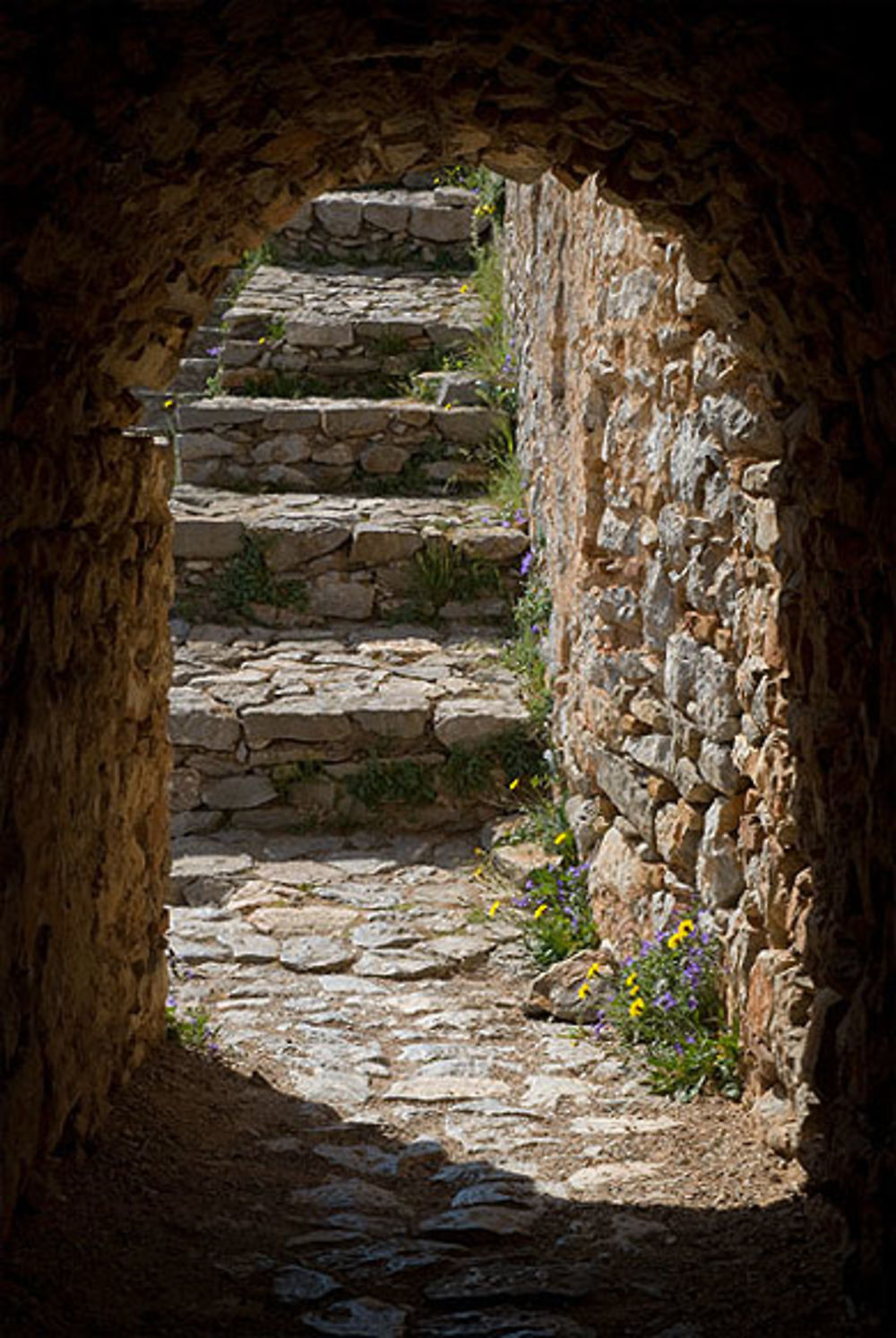 Le fort Palamède