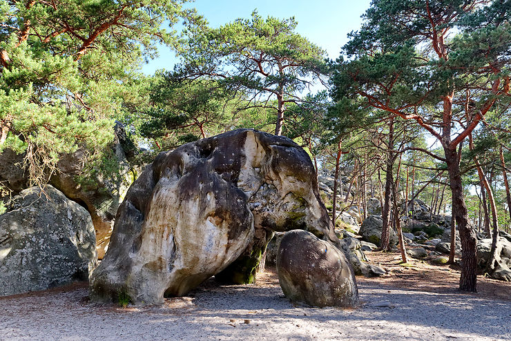 Massif des Trois Pignons (Essonne), les rochers de la forêt de Fontainebleau