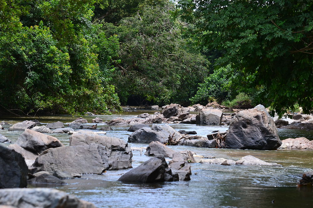 Rivière Lopé, au Gabon