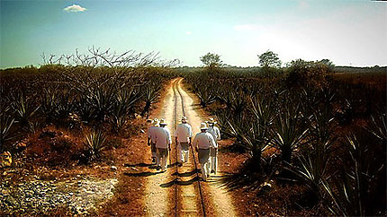 Hacienda Sotuta de peón (production du sisal)