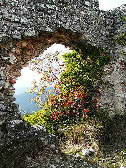 Ruines de Chateauneuf parmi la végétation