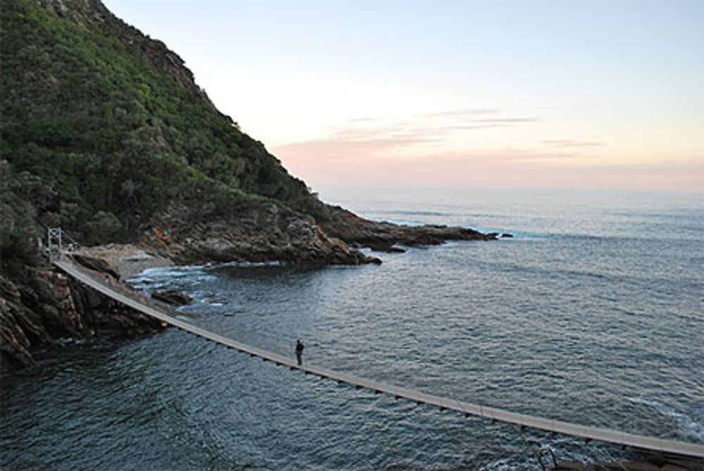 Mouth trail, Tsitsikamma National park (17h45)