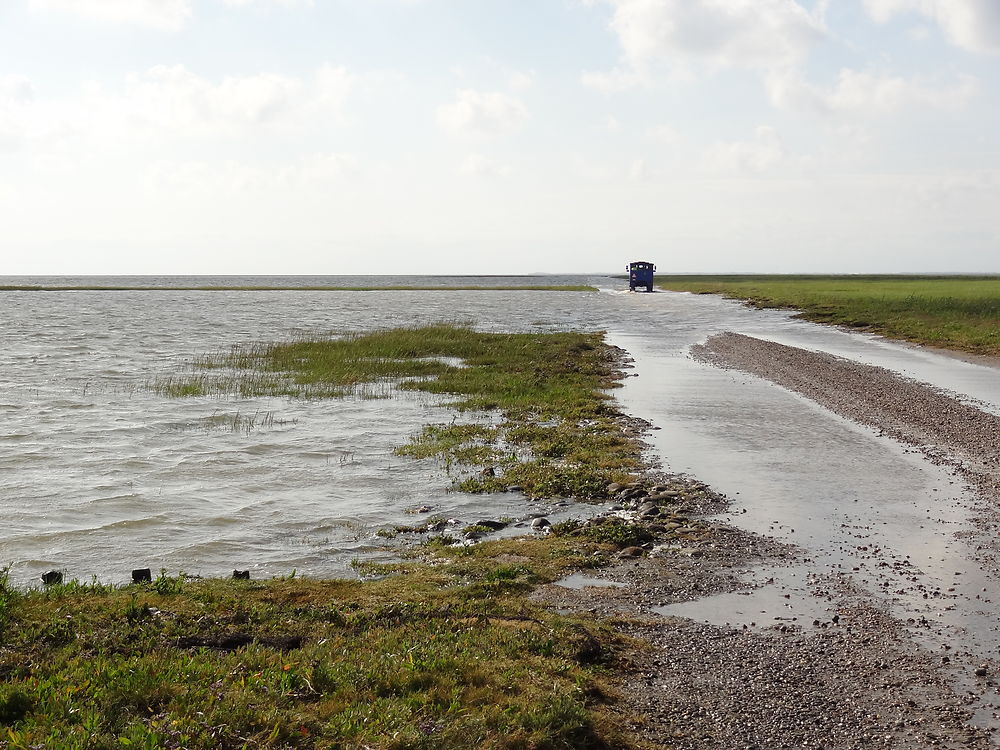 Route reliant le continent à l'île de Mandø