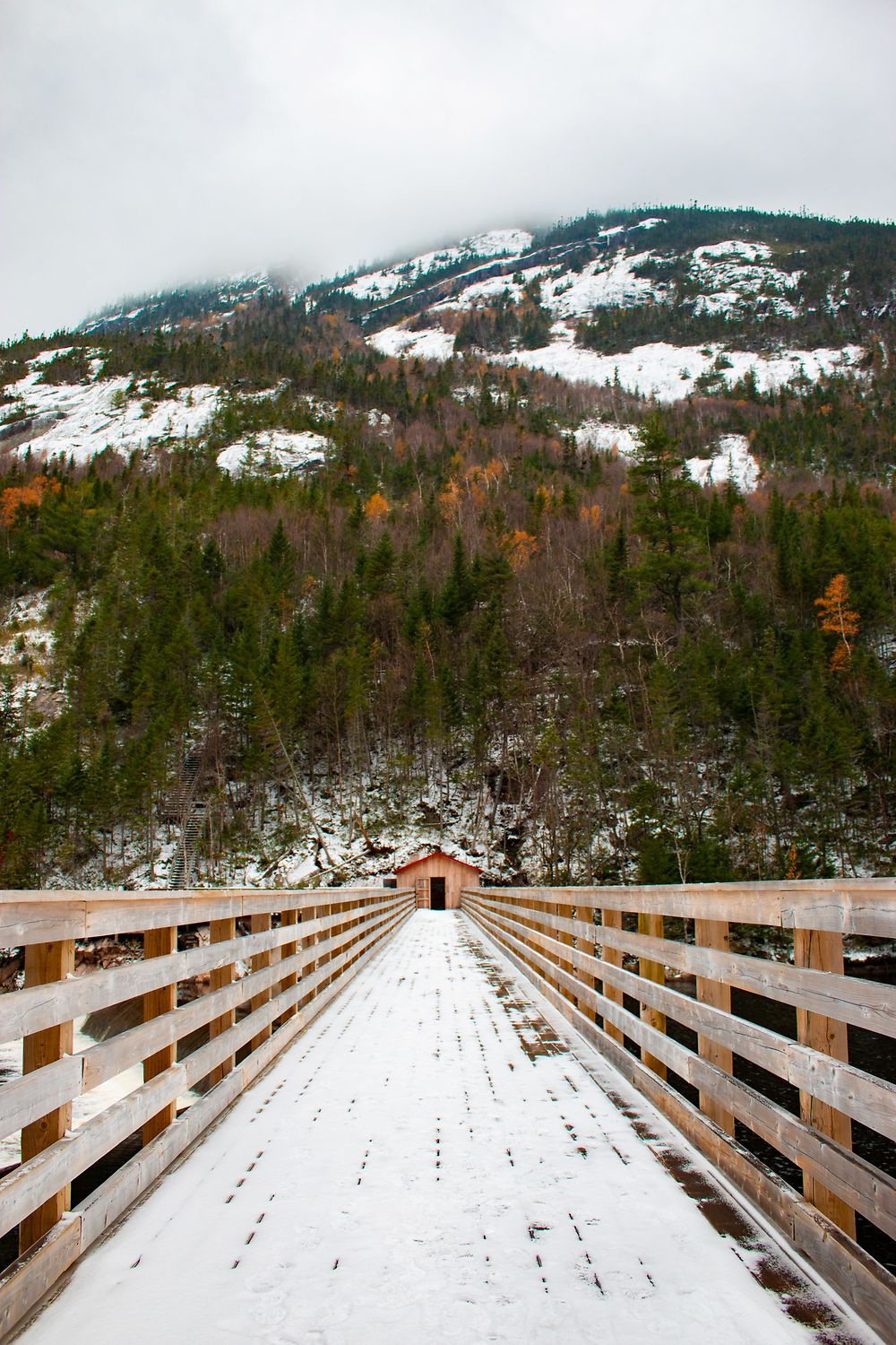 Ma cabane au Canada, parc Jacques-Cartier