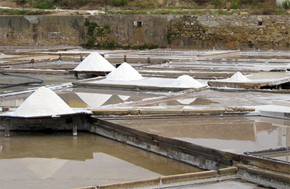 Salines de Rio Maior