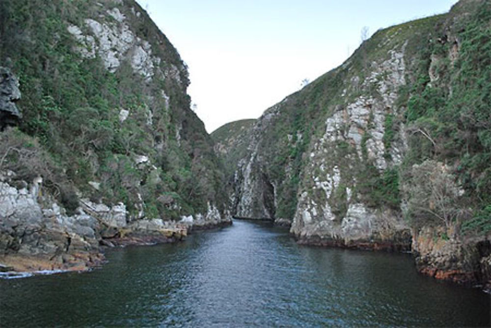 Mouth trail, Tsitsikamma National park (17h50)