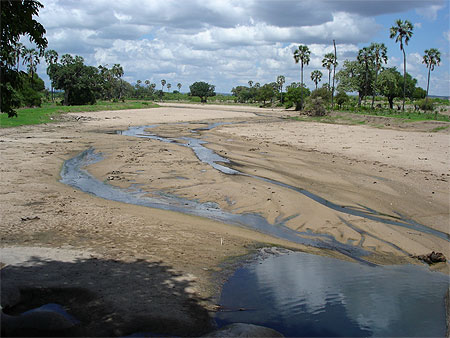 Fleuve