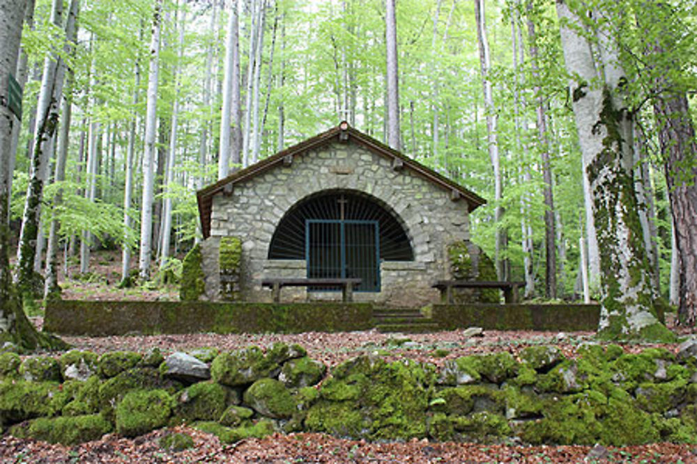 Notre Dame de la forêt