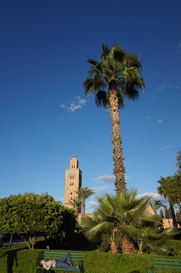 Circuit 10 jours au Maroc dans les oasis avec 3 enfants (11, 9 et 5 ans) - Toussaint 2015 - laroliere