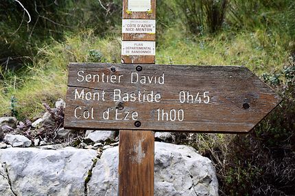 En direction du mont Bastide