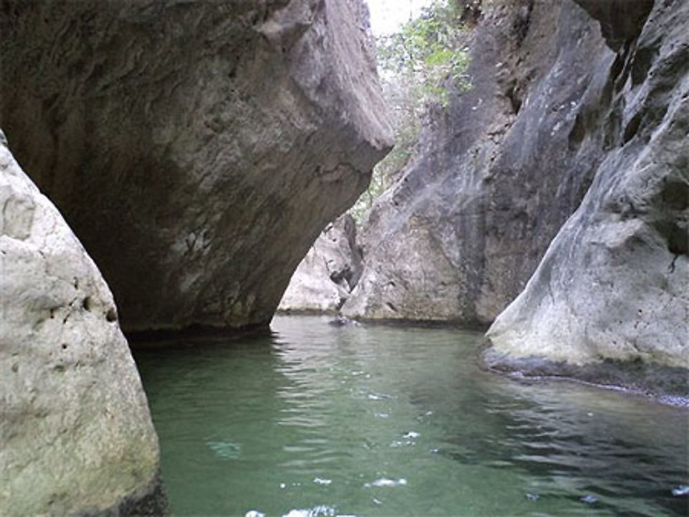 Le ruisseau aux cascades