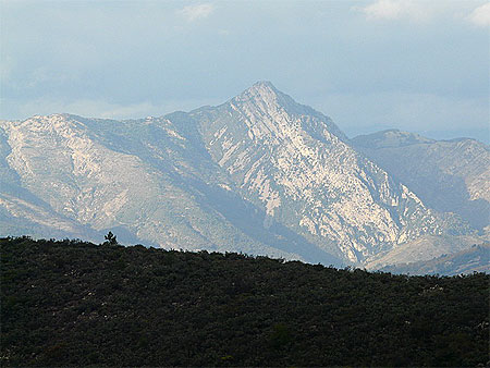 Montagnes boisées Montagnes boisées