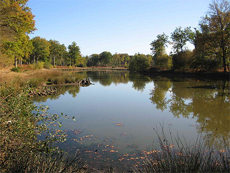 Etang des prés de Dampierre Etang des prés de Dampierre
