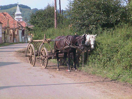 Transylvanie Transylvanie
