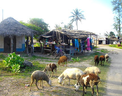 Village de watamu