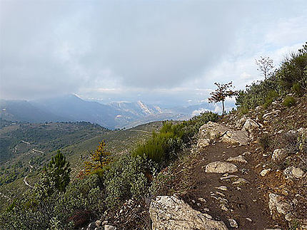 Sur le Mont Caron