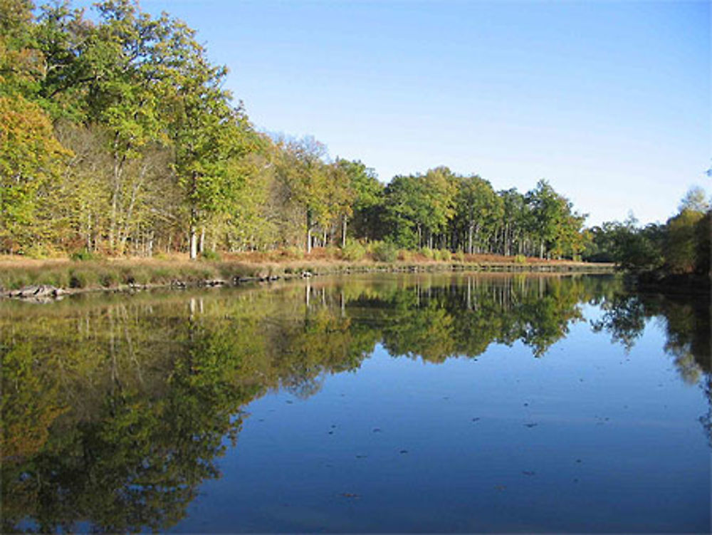 Etang des prés de Dampierre